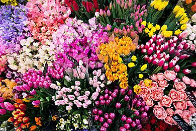 《街头霸王6》韩蛛俐角色指南 6月2日发售