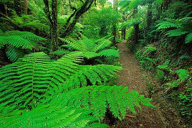 《命运2：光陨之秋》Steam多半差评 不及预期